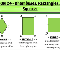 Squares rectangles and rhombuses worksheet