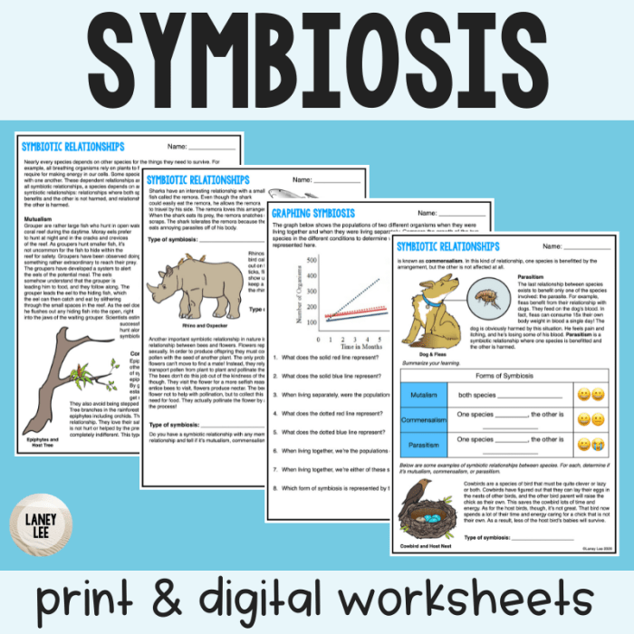 Symbiosis worksheet and answer key