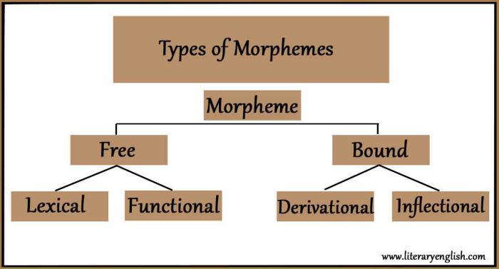 How many morphemes in hogs