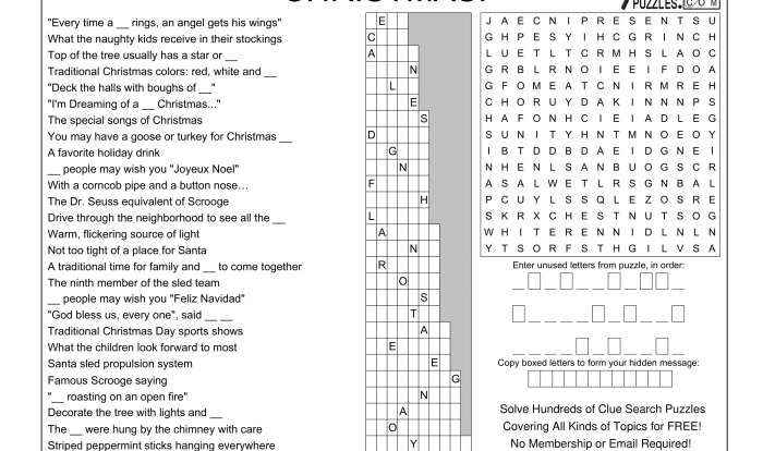 Clue search puzzles teachers answers