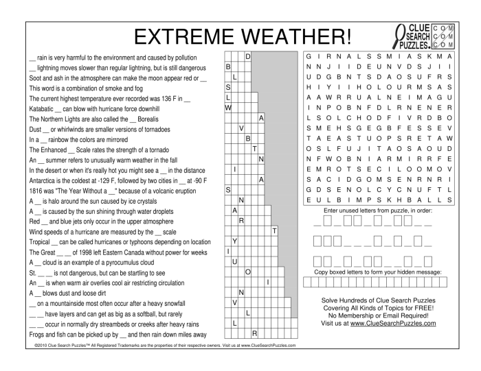 Clue search puzzles teachers answers