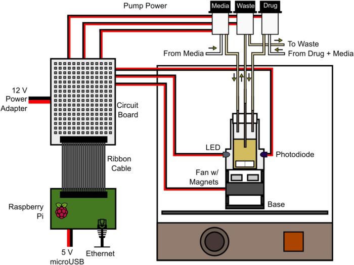 Autoclave schematic descriptions correct parenteral