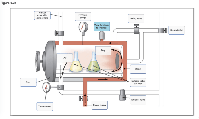 Label the schematic of the autoclave with the correct descriptions