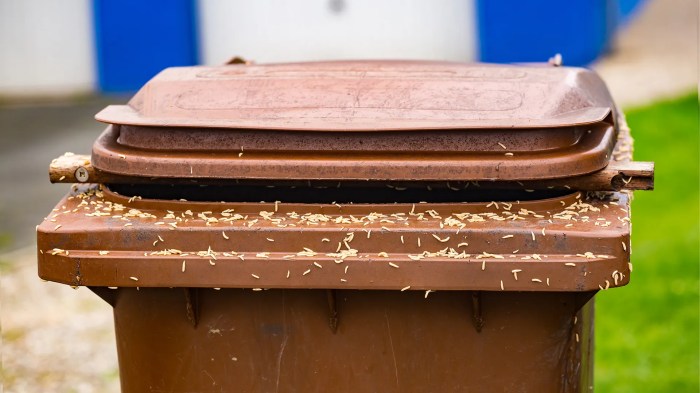 How to prevent pest infestation of an outdoor dumpster